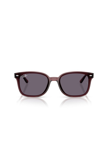 Ray-Ban 0Rb 4461D 6593/73 64