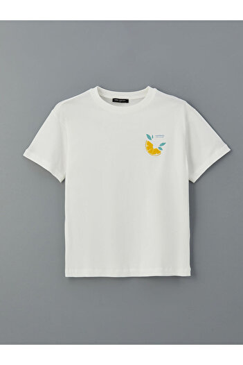 LC Waikiki Lcw Comfort Crew Neck Printed Women's T-Shirt