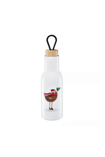 Ambition Thermos bottle 400ml, bird pattern, Forest