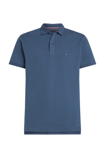 Tommy Hilfiger Male Blue Polos