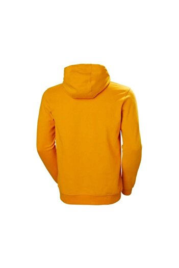 Helly Hansen Hh Logo Hoodie