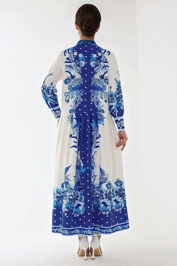 Hiccup Printed Long Sleeve Maxi Dress