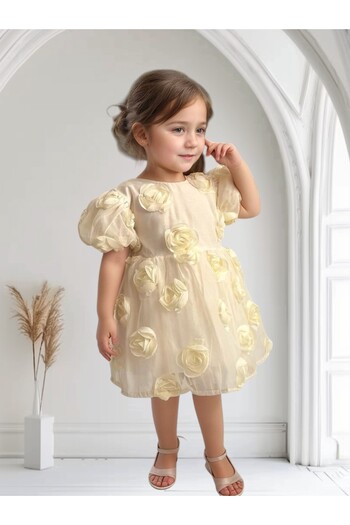 morwind Girl's Dress Rose Bow Detailed Birthday Special Occasion Dress