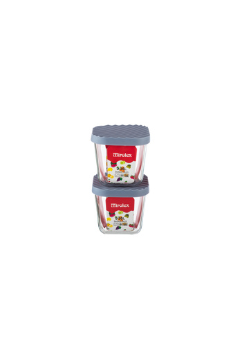 Dania 2-Piece Glass Food Storage Container Set with Microwaveable Plastic Lid