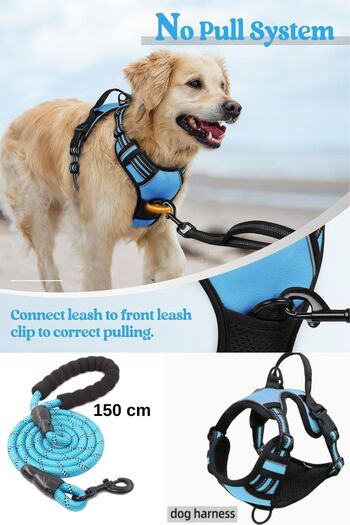 ESPAW Dog Leash with Reflectors and Walking and Training Set for Medium and Large Breed
