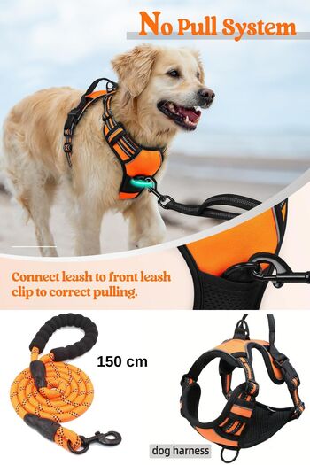 ESPAW Dog Leash with Reflectors and Walking and Training Set for Medium and Large Breed