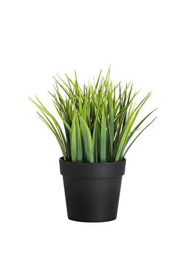 HOMİNG Homing Artificial Grass Black Potted 241348