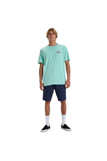 BİLLABONG Dreamy Place Ss Men's Green T-Shirt Men T-Shirt Ebyzt00294