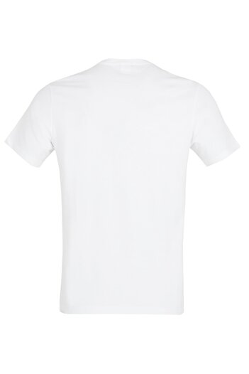 THE NORTH FACE Πολύχρωμο μπλουζάκι Istanbul Daily T-shirt