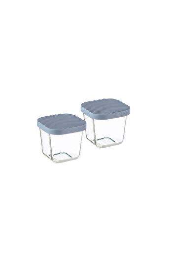 Dania 2-Piece Glass Food Storage Container Set with Microwaveable Plastic Lid