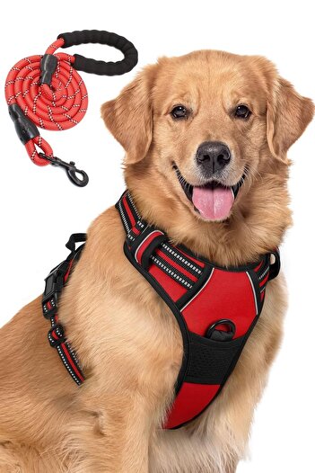ESPAW Dog Leash with Reflectors and Walking and Training Set for Medium and Large Breed