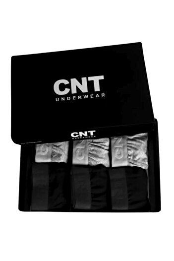 CNT Men's Slip Panties Boxer Waist Lycra in 6-Piece Premium Box