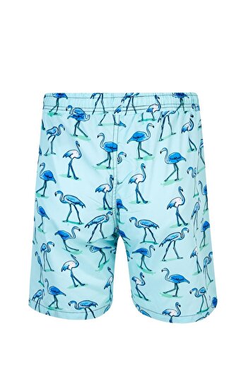 REMSA Men's Sea Pool Shorts Patterned Percy S250 Mint