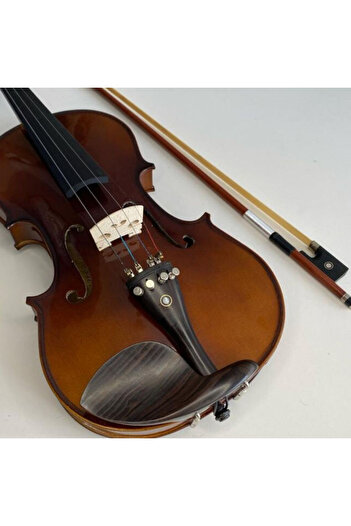 Vivaldi VİVALDİ VL-905 4/4 S KEMAN