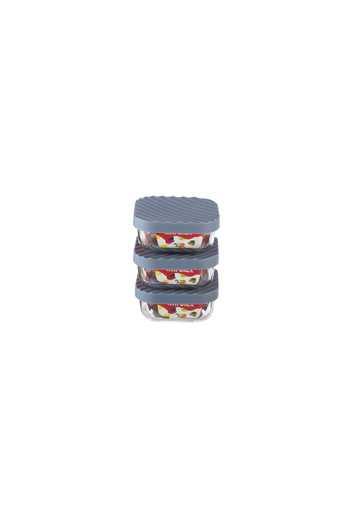 Dania 3-Piece Glass Food Storage Container Set with Microwaveable Plastic Lid