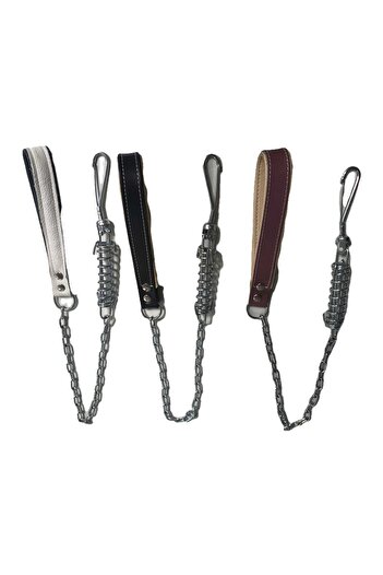 Petcibaba Chain Dog Walking Spring Strap