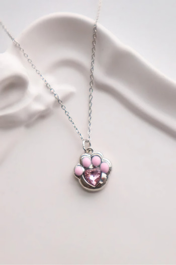 EFBUTİK Silver Color Chain Paw Imported Necklace