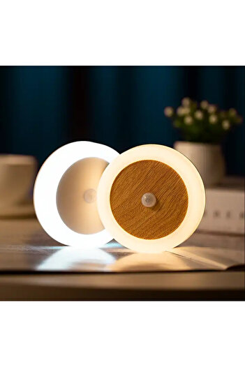 Generic Induction Coin Lamp Usb Charging Motion sensor Smart Wardrobe closet Light wood (Warm White)