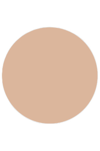 TOPFACE Pudr Compact Skin Editor Matte Finishing - PT263.009