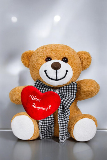 Canestar I Love You Heart Plush Bow Tie Teddy Bear - Special for Lovers I Love You Written Heart