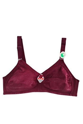 wear treasure Plus Size (110-130) t & D Cup for Women with Wire Support Immersive