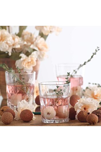 decovien 6-Piece Water Cup