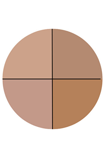 TOPFACE Contouring Palette - Maestro Contour Highlighter Bronzer Palette - PT268.001