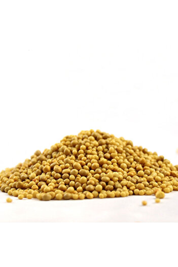 Generic Slow Release Fertilizer 10g 12 Month Plant Food for Indoor & Outdoor Plants, Flowers, Herbs