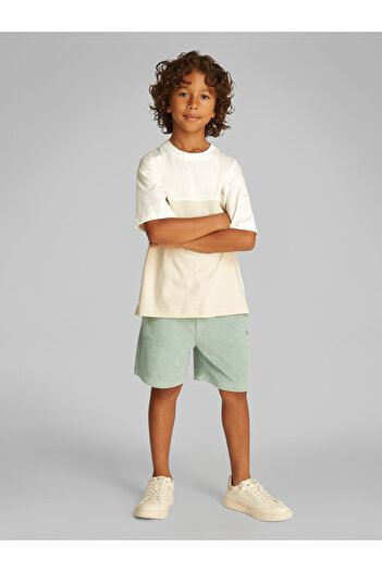 Calvin Klein Boys Multicolor Color Block Short Sleeve T-Shirt