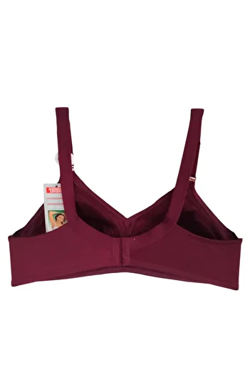 wear treasure Plus Size (110-130) t & D Cup for Women with Wire Support Immersive