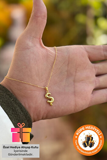 Lucente Jewellery Hediye Kutulu 3 Boyutlu Harf Kolye Isim Baş Harfli Altın Gümüş Kaplama Ş Harfi Kolyesi