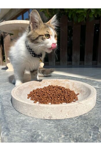 helya marble Travertine Natural Stone Cat Food Bowl - Dog Food Bowl