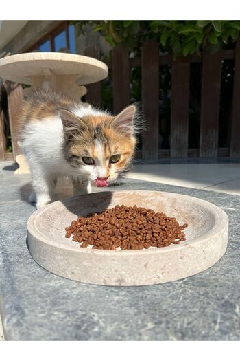 helya marble Travertine Natural Stone Cat Food Bowl - Dog Food Bowl