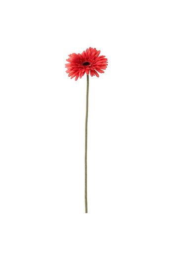 IKEA SMYCKA Artificial flower, Gerbera/red, 50 cm