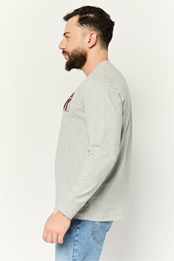 Esprit Men Round Neck Long Sleeves Graphic Print T-Shirts, Grey