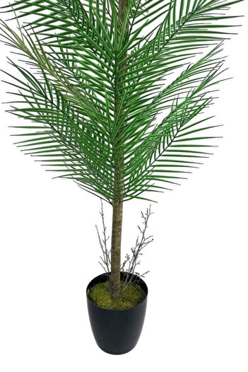 Nettenevime Yapay Ağaç Palmiye 155*50Cm 30Yaprak Areka Ağacı Siyah Saksıda Tek Gövdeli