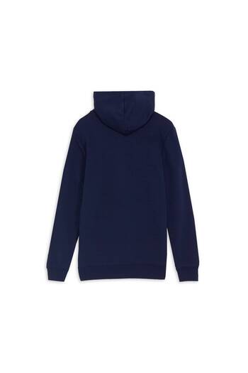 Puma ESSENTIALS Small Logo Чоловічий світшот з капюшоном