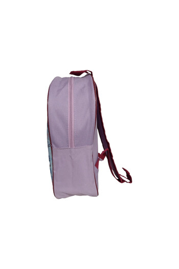 Frozen Children's backpack, multicolor, 30x26x10cm, Frozen, Disney