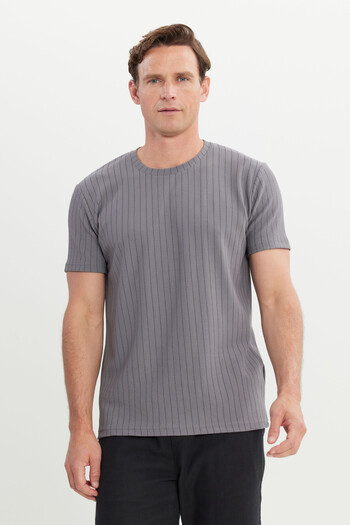 AC&Co / Altınyıldız Classics Men's Gray Slim Fit Slim Fit Crew Neck Stretch T-Shirt