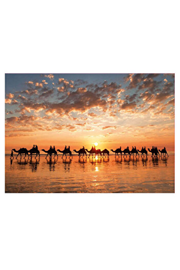 EDUCA Atardecer En Cab 1000 Piece Puzzle