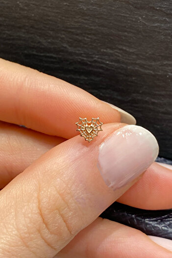 La femme by begum Örümcek Ağı Detay Kalp Arka Top Döndürmeli Rose Gümüş Piercing,helix,tragus,conch,flat