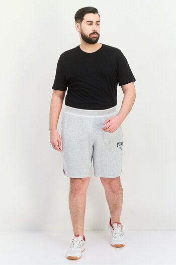 Puma Men Sportswear Fit Outdoor Shorts, Grey