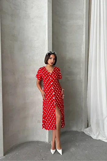 Neşeli Butik Women Viscose Polka Dot Print Shirt Dress Nbg083