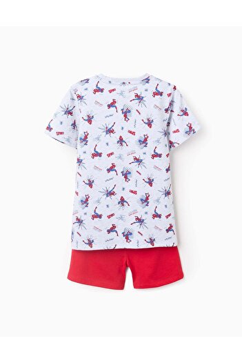 Ziddy Cotton Pyjama for Boys 'Spider-Man', Grey/Red