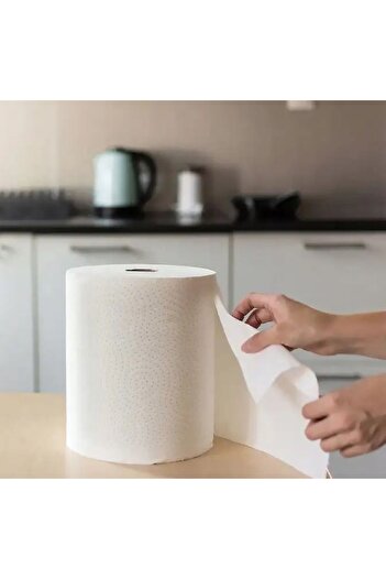 Papilion Paper Towel Jumbo