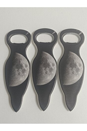 shop Bottle Opener Magnet Will Open