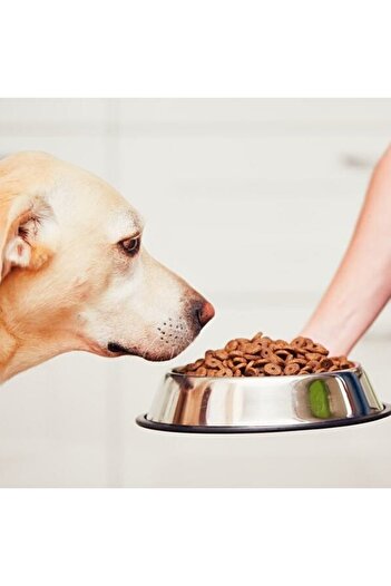 Avex Metal pet feeding bowl - 22cm