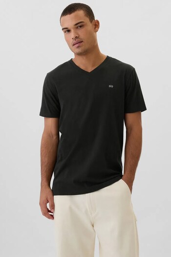 GAP V-Frch Everyday Soft Men's T-Shirt