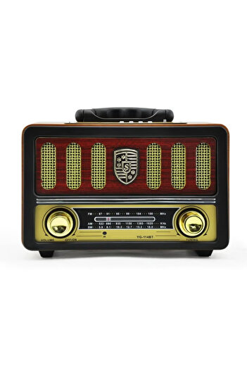 Denx Rechargeable HI-FI Radio with Remote Control, Large Capacity Battery, Portable, Retro Style FM Radio