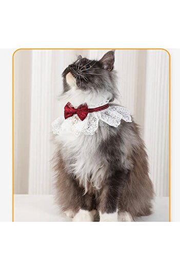 Animalovers Stylish Braided Cat Collar Adjustable Neck Jewelry with Bow Tie and Lace Bib